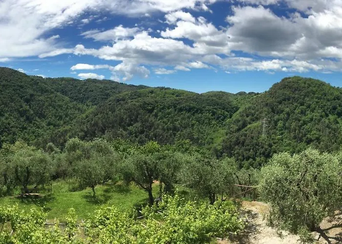 Caddelovi