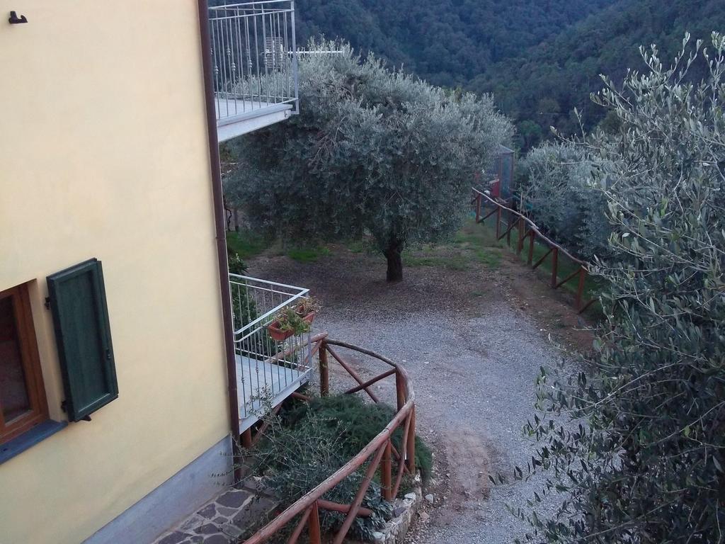 Caddelovi