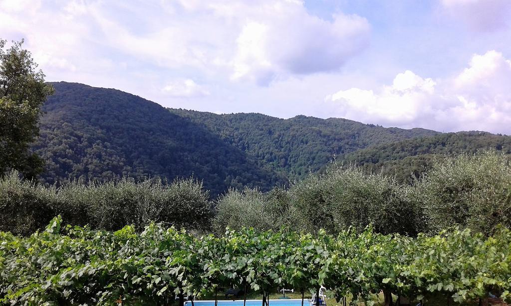 Apartment Caddelovi *