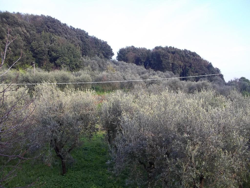 Apartment Caddelovi *