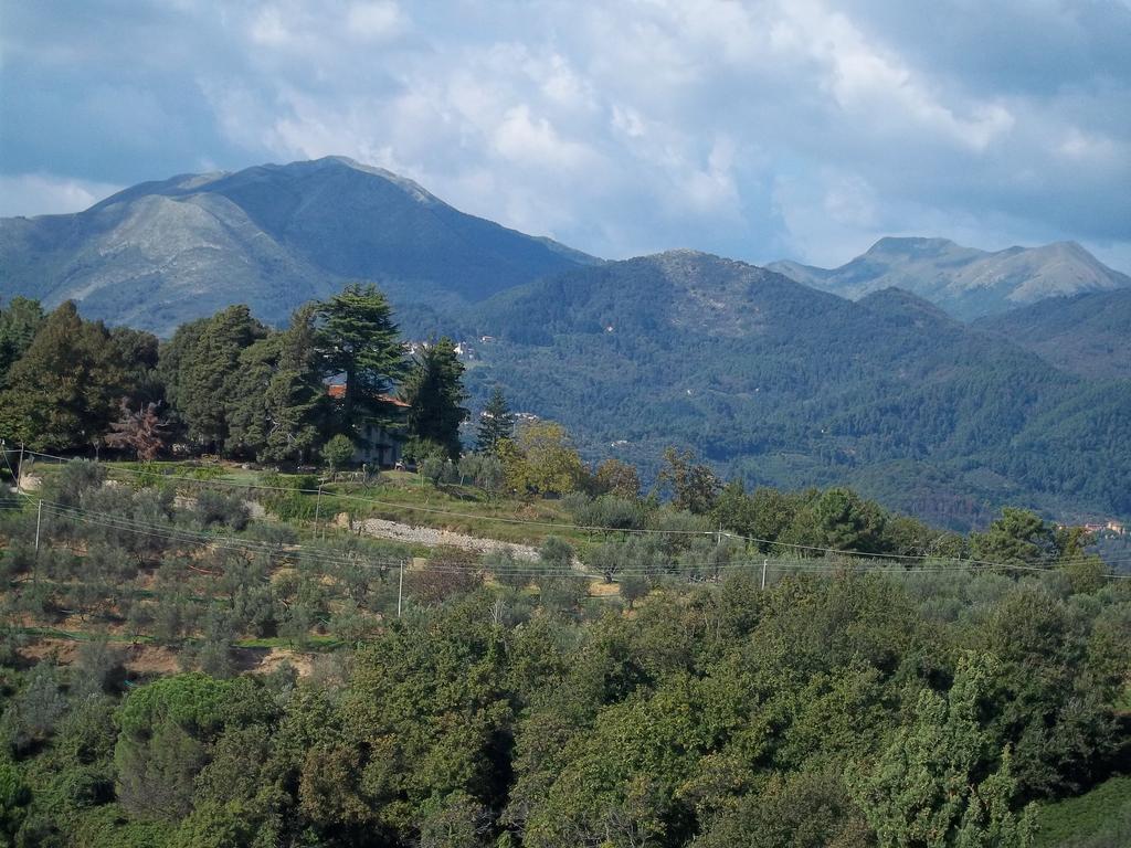 Caddelovi * Fibbialla